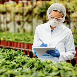 Desarrollo del Sistema HACCP