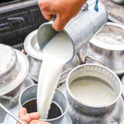 Tecnología de la Leche: Manejo de Leche Cruda en Planta Antes del Tratamiento Térmico